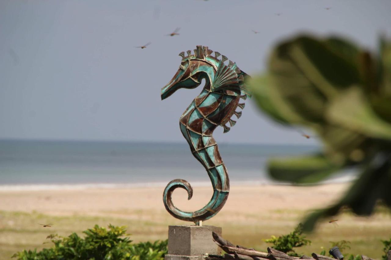 C Beyond Nilaveli Hotel Buitenkant foto